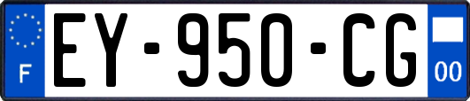 EY-950-CG