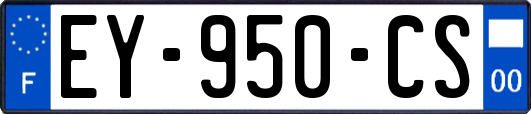 EY-950-CS