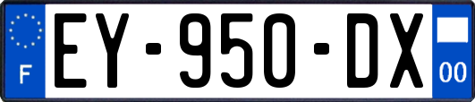 EY-950-DX