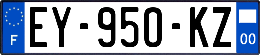 EY-950-KZ