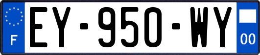 EY-950-WY