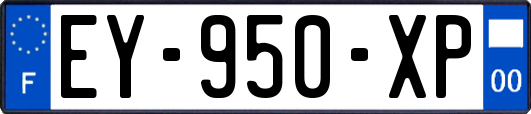 EY-950-XP