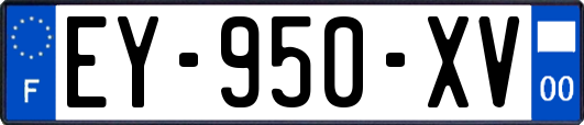 EY-950-XV