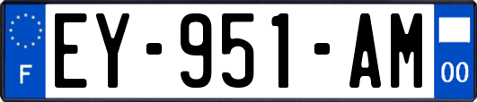 EY-951-AM