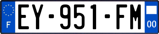 EY-951-FM