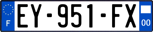 EY-951-FX