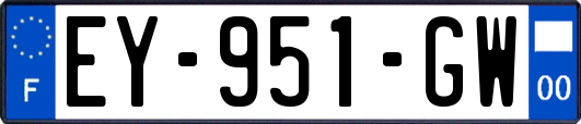 EY-951-GW