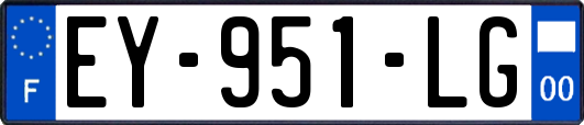 EY-951-LG