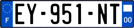 EY-951-NT