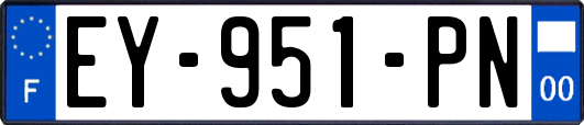 EY-951-PN