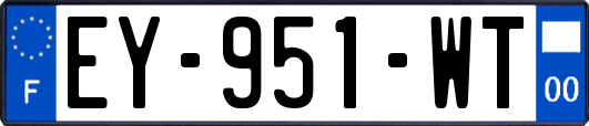 EY-951-WT