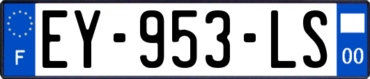 EY-953-LS