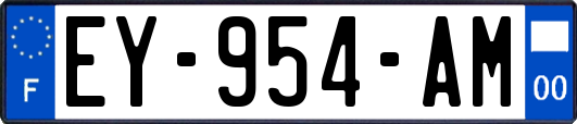 EY-954-AM