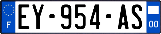 EY-954-AS