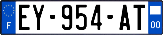 EY-954-AT