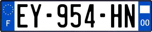 EY-954-HN