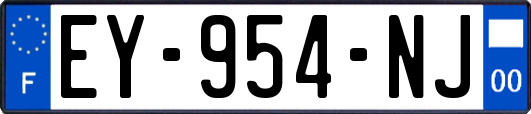 EY-954-NJ