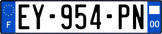 EY-954-PN