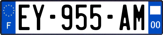 EY-955-AM