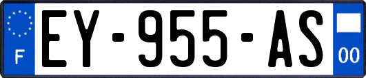 EY-955-AS