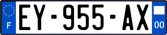 EY-955-AX