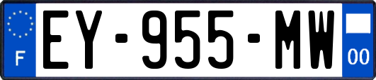 EY-955-MW