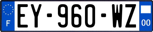 EY-960-WZ
