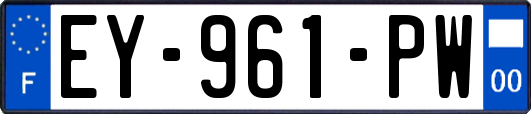 EY-961-PW