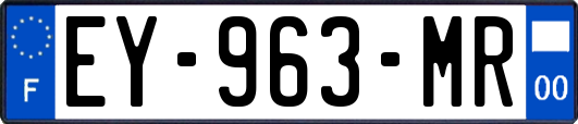 EY-963-MR