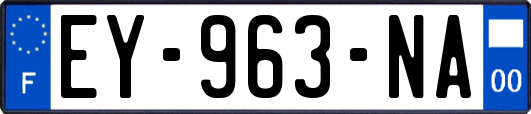 EY-963-NA
