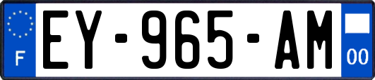 EY-965-AM