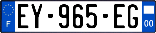 EY-965-EG