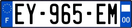 EY-965-EM
