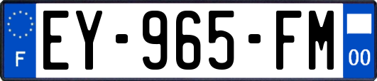 EY-965-FM