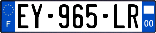EY-965-LR