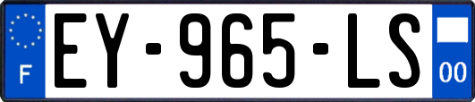 EY-965-LS