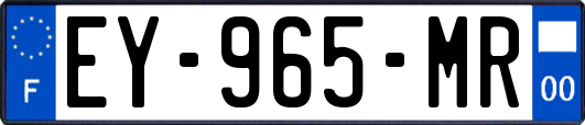 EY-965-MR