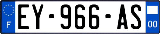 EY-966-AS