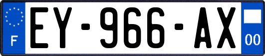 EY-966-AX