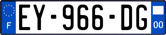 EY-966-DG