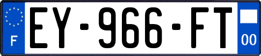 EY-966-FT
