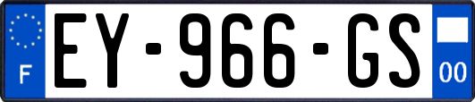 EY-966-GS