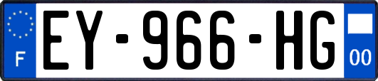 EY-966-HG