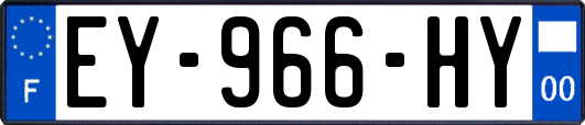 EY-966-HY