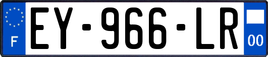 EY-966-LR