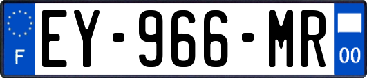 EY-966-MR