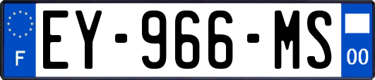 EY-966-MS