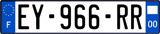 EY-966-RR