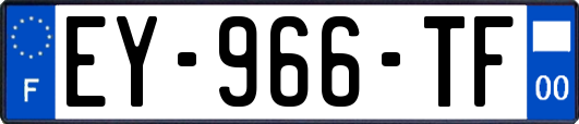 EY-966-TF