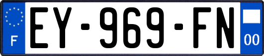 EY-969-FN
